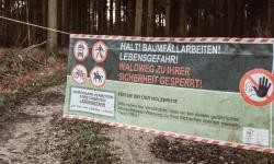 Banner über einen Waldweg gespannt mit der Aufschrift: Halt! Baumfällungen! Quelle: Kerstin Maier 