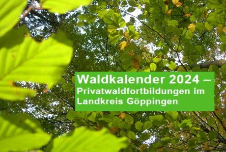 Symbolbild mit Blättern eines Laubwaldes mit integriertem Text Waldkalender 2024 - Privatwaldfortbildungen im Landkreis Göppingen