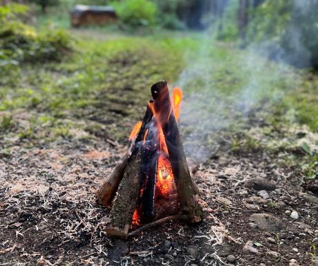 Lagerfeuer im Wald