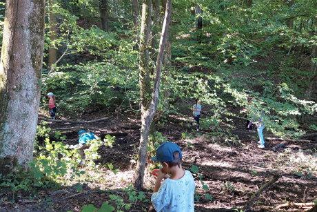 Kleine Entdecker im Wald