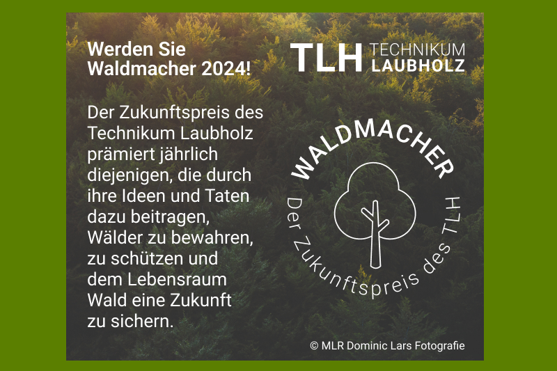 Titelbild Flyer Waldmacher Award 2024