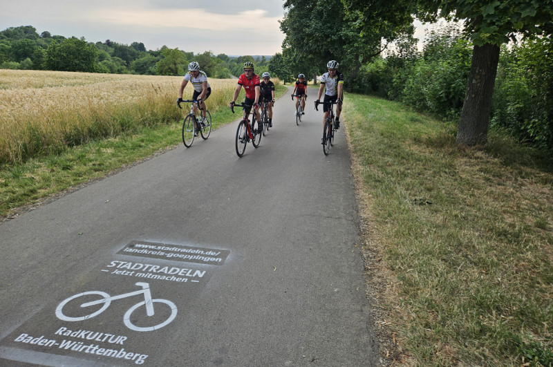 Vier Radfahrer auf einem Weg