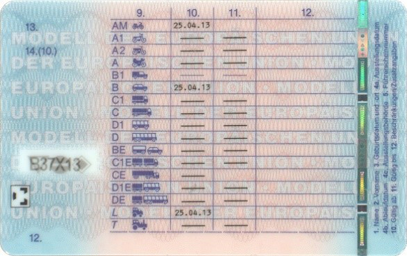 Muster EU-Führerschein Rückseite Muster EU-Führerschein Rückseite