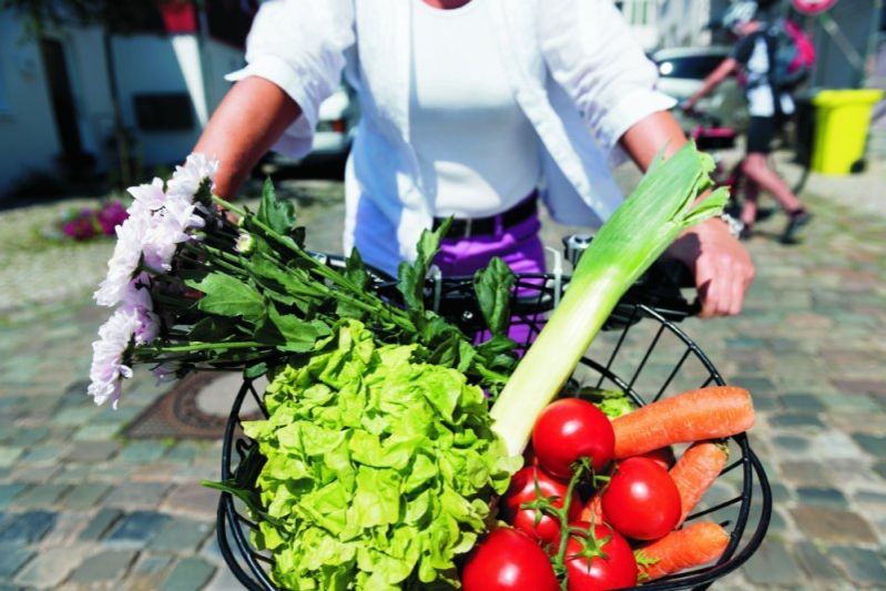 Frau hält einen Einkaufskorb mit Salat, Lauch, Tomaten, Karotten und Blumen