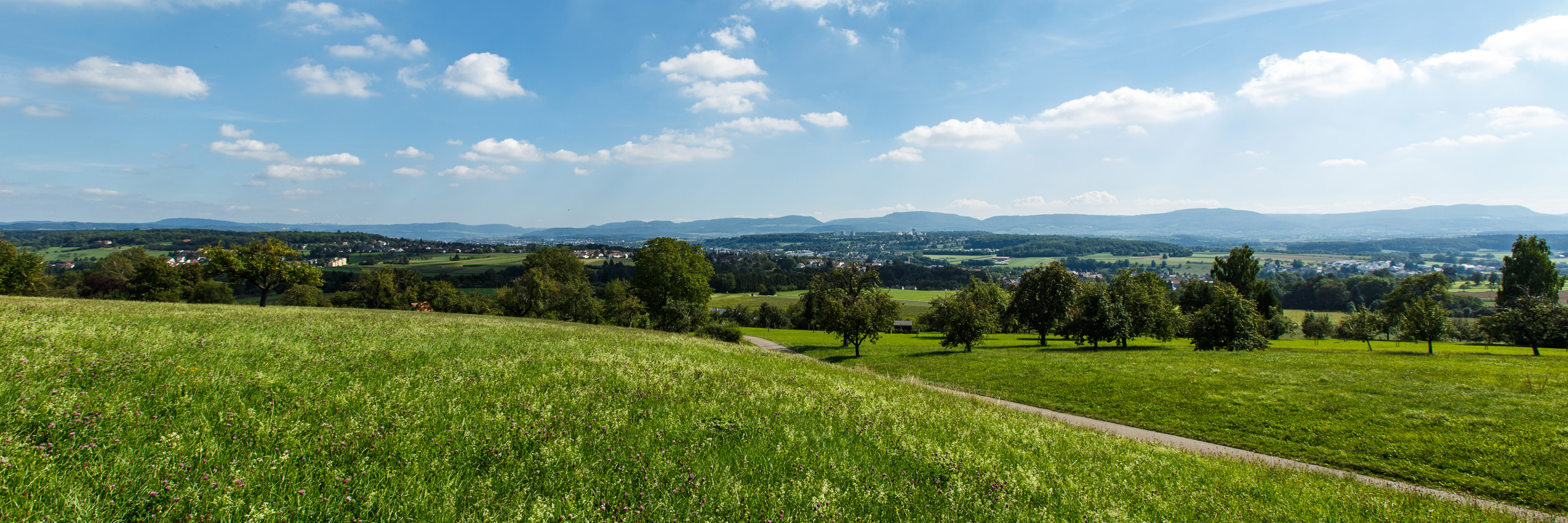 Landschaft im Landkreis Göppingen mit Wiesen, Streuobstwiesen und Blick auf die Schwäbische Alb