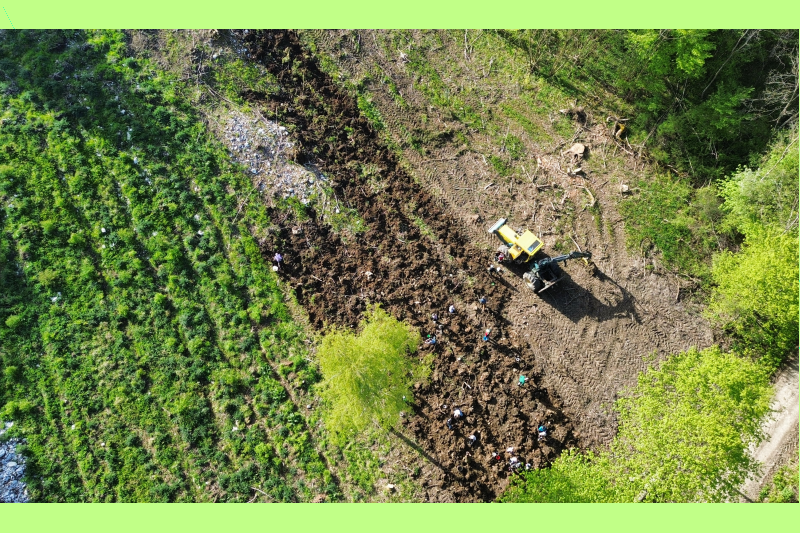 Luftbild vom Hackwald mit Arbeitsmaschine