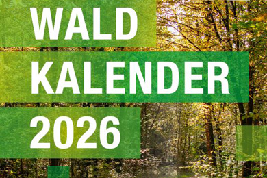 Waldkalender Text "Waldkalender 2026" auf einem Herbstwald als Hintergrundbild