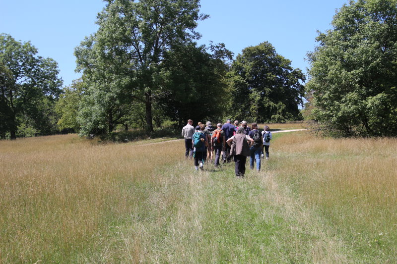 Revierleiter Elsenhans mit den Interessierten im Hutewald