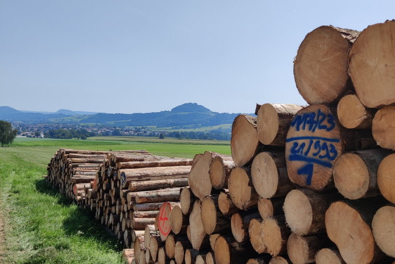 Holzpolter, im Hintergrund der Hohenstaufen. Quelle: Forstamt Göppingen, J. Meier